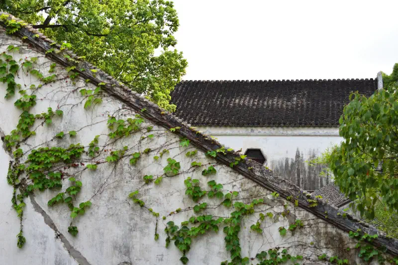 The Humble Administrator's Garden